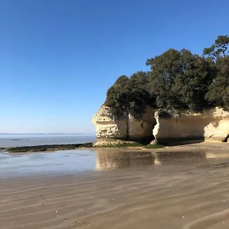 Maison De Avec Piscine , Dans * Meschers-sur-Gironde